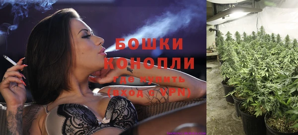 кокс Липки