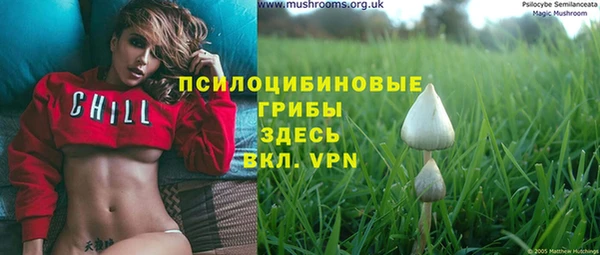 кокс Липки
