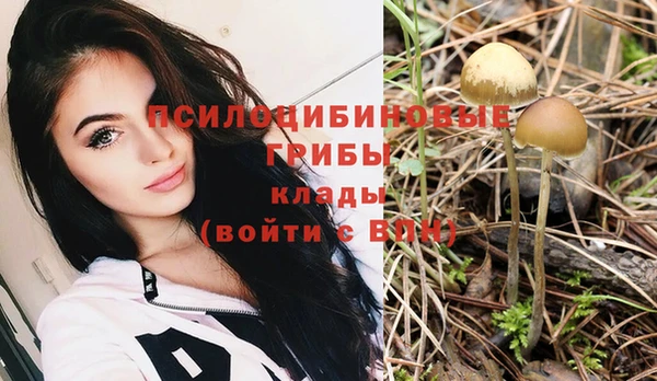 кокс Липки