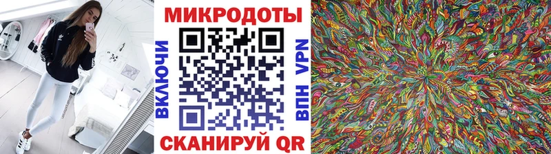 Купить где  Андреаполь  Псилоцибиновые грибы GOLDEN TEACHER 